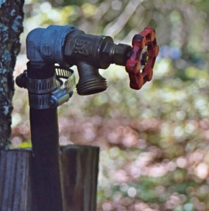 Garden Spigot